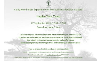 Inspire Your Team